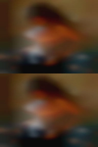 Average swinging clubs sexy naked girls.